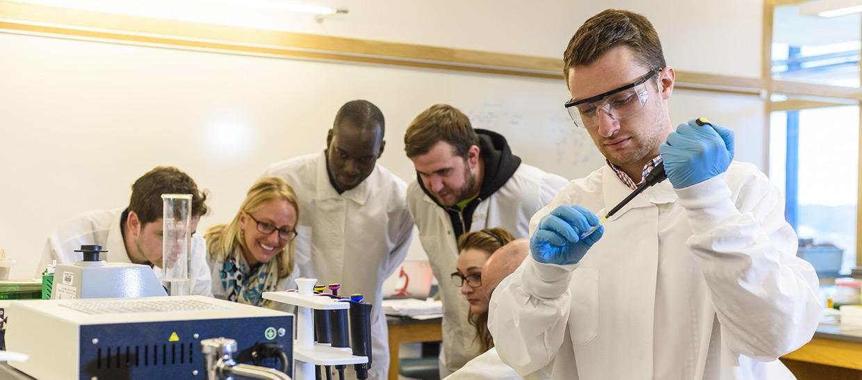 Science students working in a lab